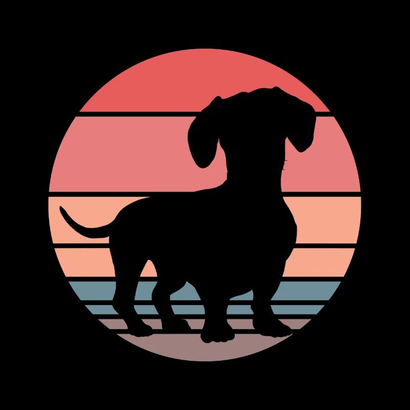 Dachshund Teckel Dackel