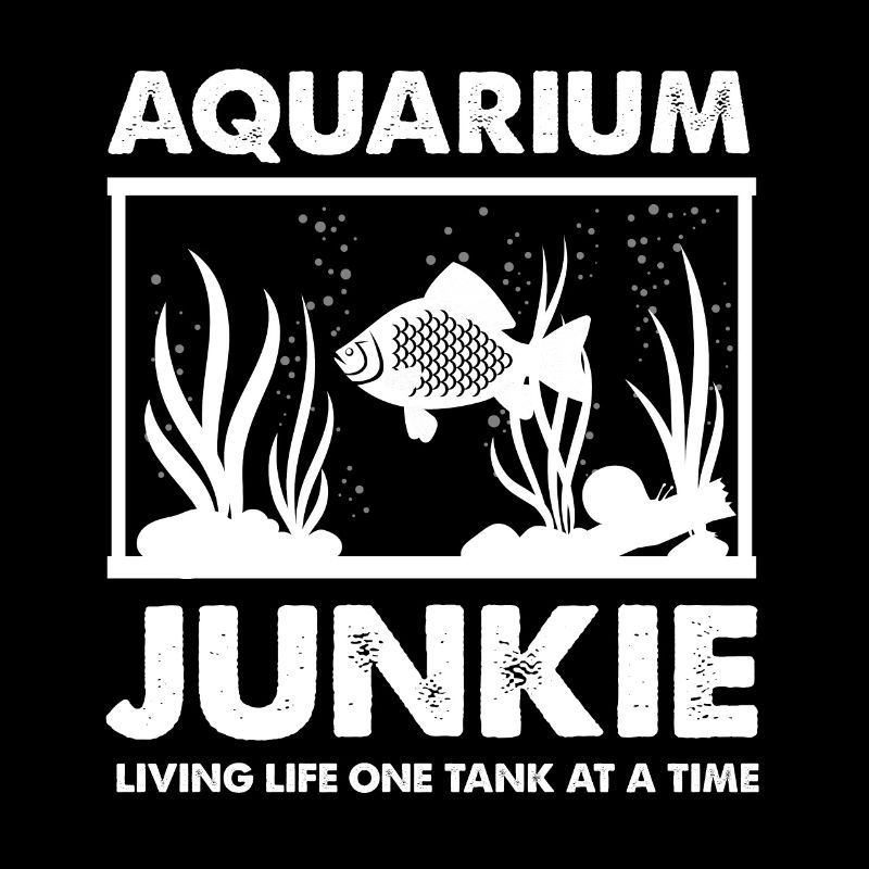 Conception d’aquarium pour les amateurs d’aquarium