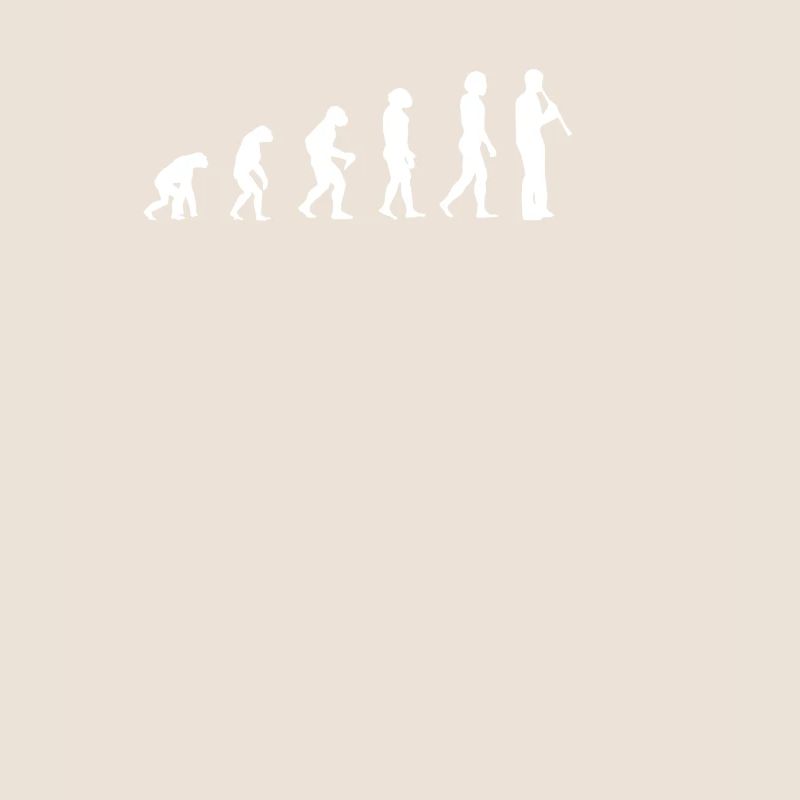 évolution de la clarinette