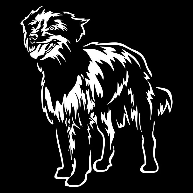 Berger des Pyreneés "Black Edition"