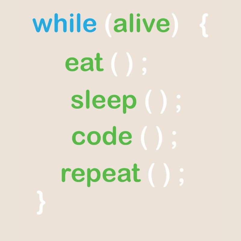 Développeur de logiciels de codage Python