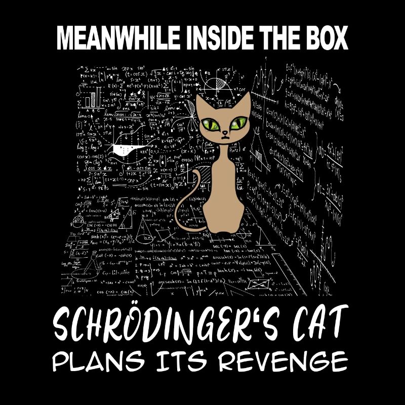 En attendant dans la boîte le chat de Schrödinger