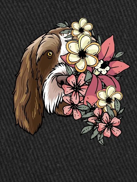 Spinone Italiano Chiens