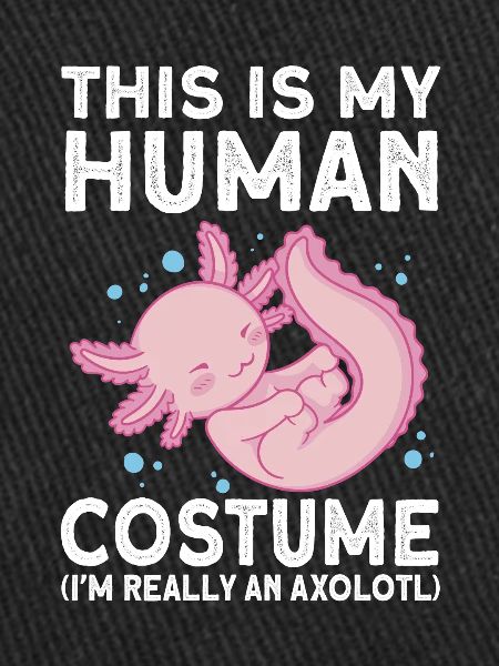 Axolotl