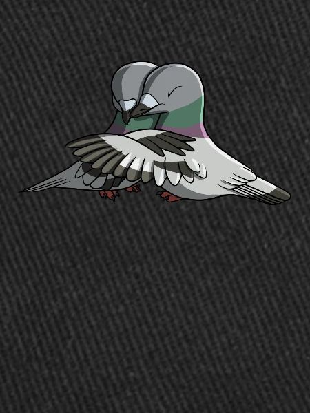 Hugging Birds Pigeon