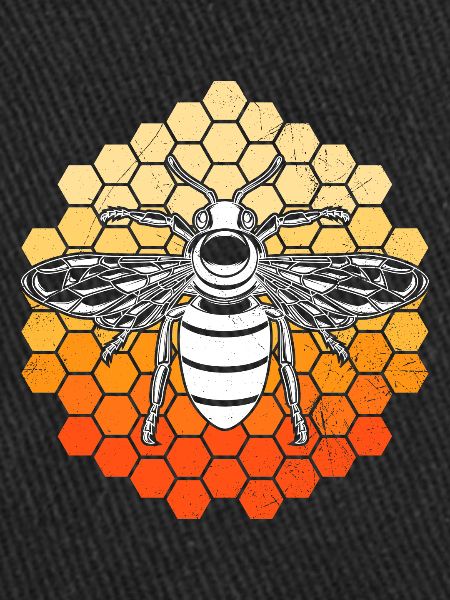 Bee on honeycombs Beekeeper