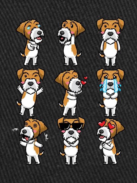 Kromfohrländer Dog Émotions