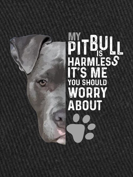Pitbull