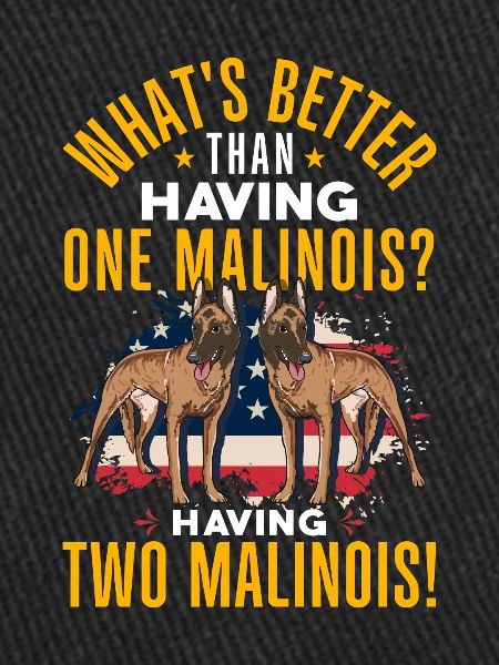 Belgian Malionis Dog Handler