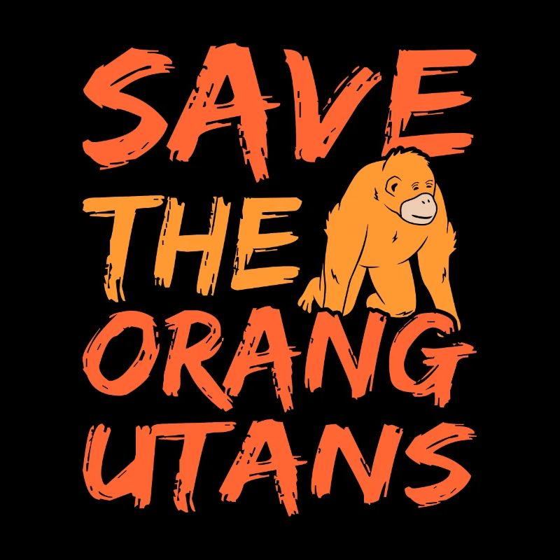 Distrait par le cadeau de l’orang-outan