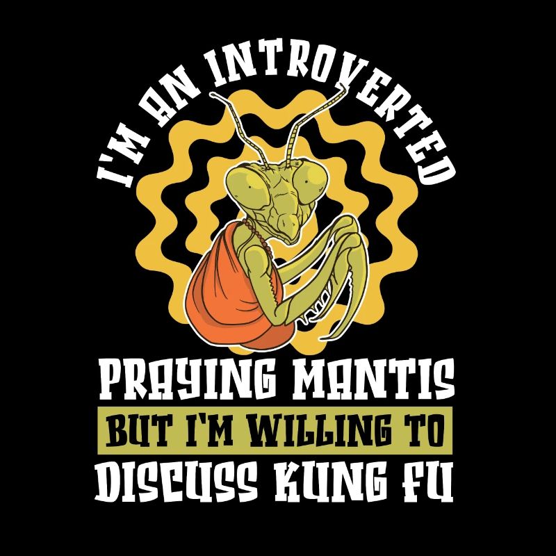 Kung-fu