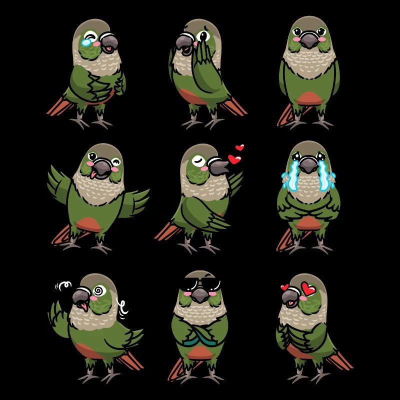 Molinasittich Perruche Perroquet Oiseau