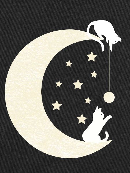 Chats de Lune