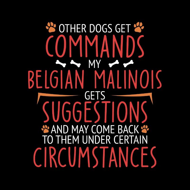 Belgian Malinois Commands Belgian Shepherd