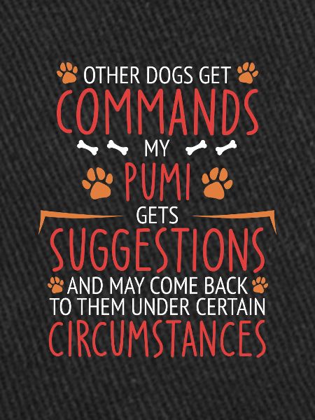 Pumi Commandes Paw