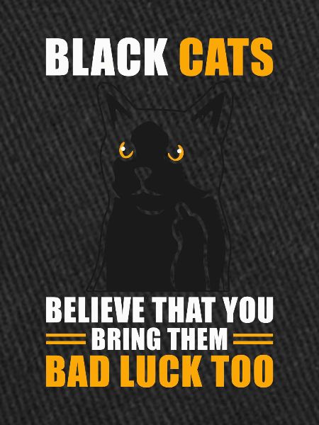 Superstition Chat Noir