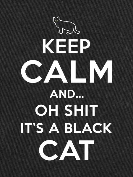 Superstition Chat Noir