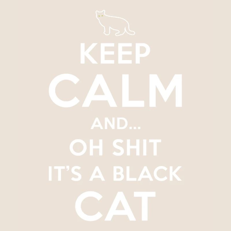 Superstition Chat Noir