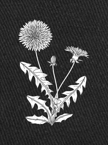 Wildflowers