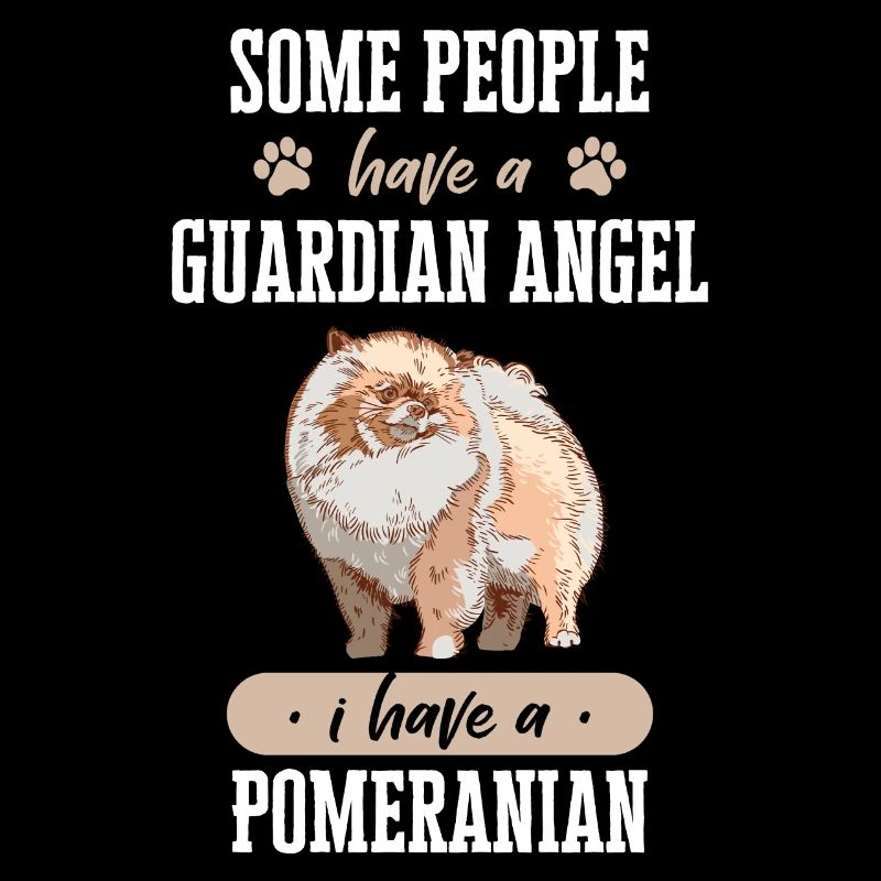 Pomeranian Hund Hundehalter