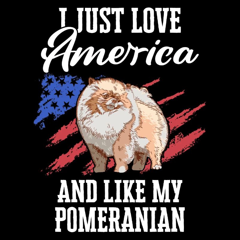 Pomeranian Hund Hundehalter