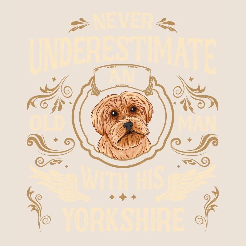 Yorkshire Terrier Hund
