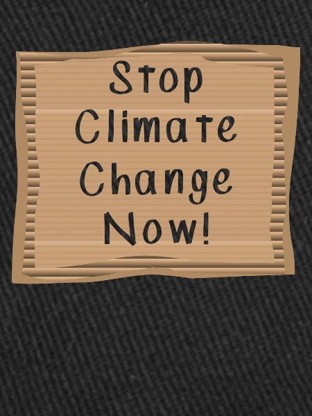 Stop Climate Change Now