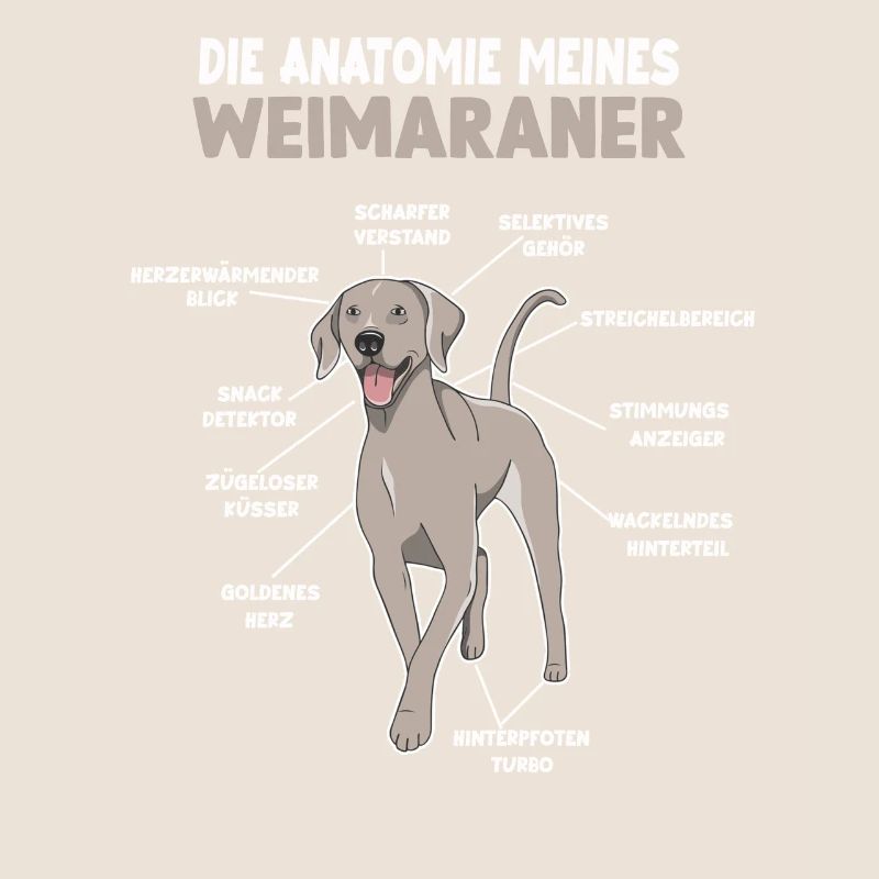 Weimaraner Anatomie Witziges Hundehalter Gassi