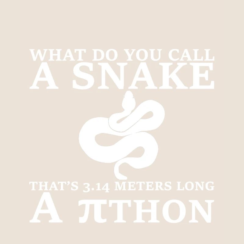 Un serpent de 3,14 mètres de long, un Pithon 3