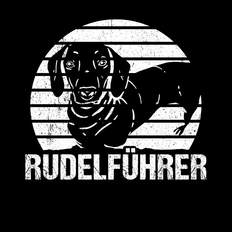 Dachshund Dackel Rauhaardackel Rudelführer Hundeli