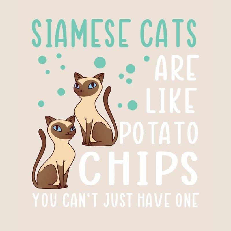 Siamois Cat Cats Propriétaire de chat