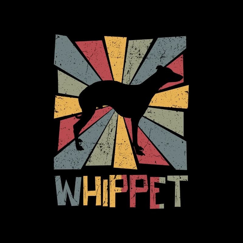 Whippet