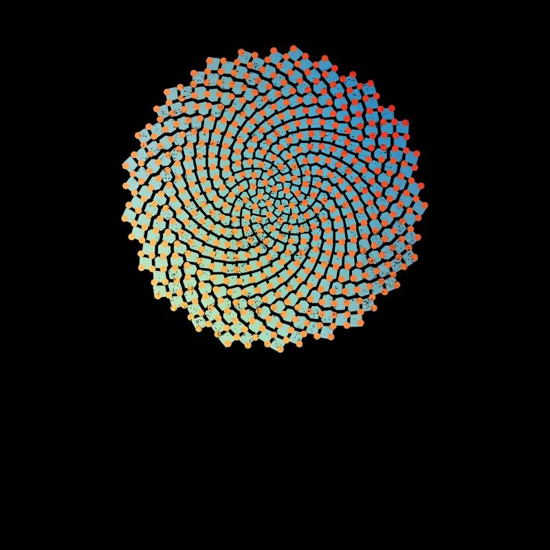 Sonnenblumenkerne Fibonacci Spirale Goldener Schnitt Math