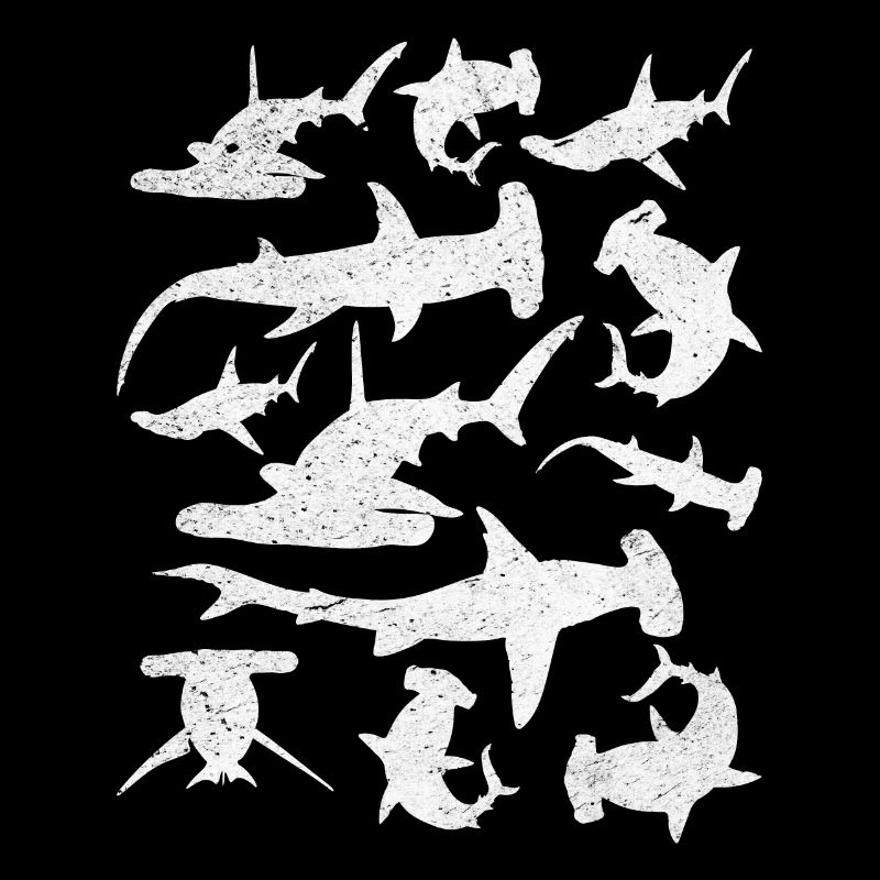 Requins-marteaux Grand requin-marteau Requin-marteau