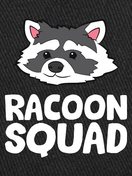 Raton laveur - Racoon Squad
