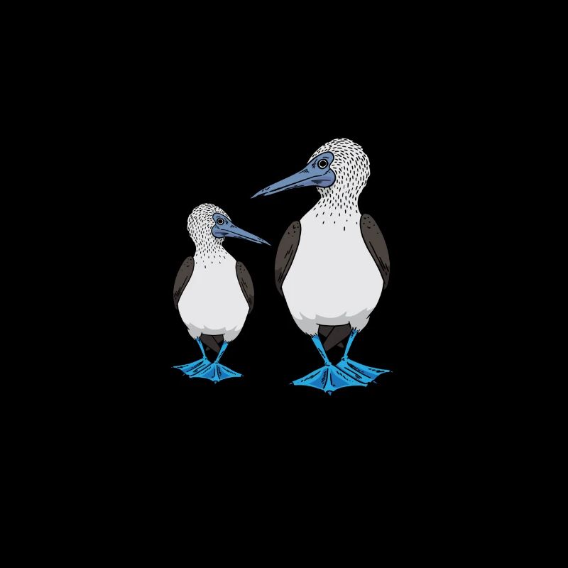Seabirds Blue-footed
