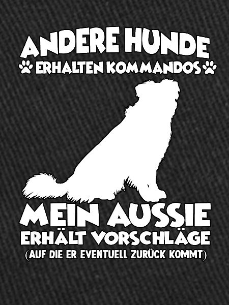 Obedience Australian Shepherd Hundetraining