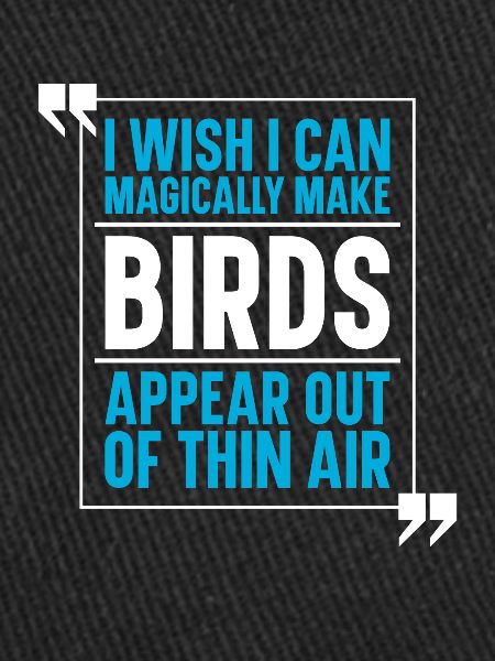 Oiseaux Oiseaux