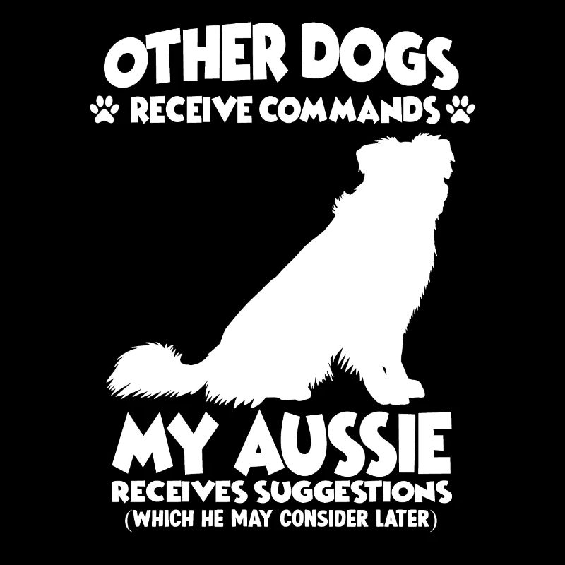 Hundetraining Australian Shepherd Hundehalter