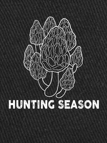 Saison des morilles
