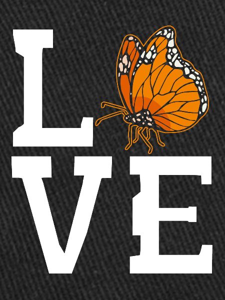 Papillon monarque