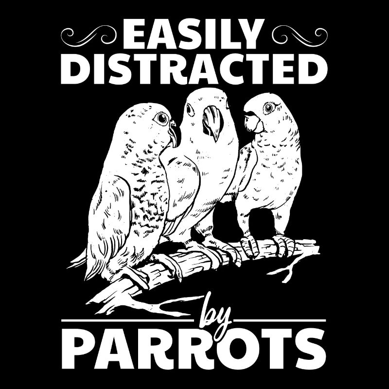 Parrot bird lovers easily from parrots
