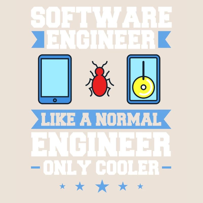 Software Engineering Softwaretechnik Ingenieur