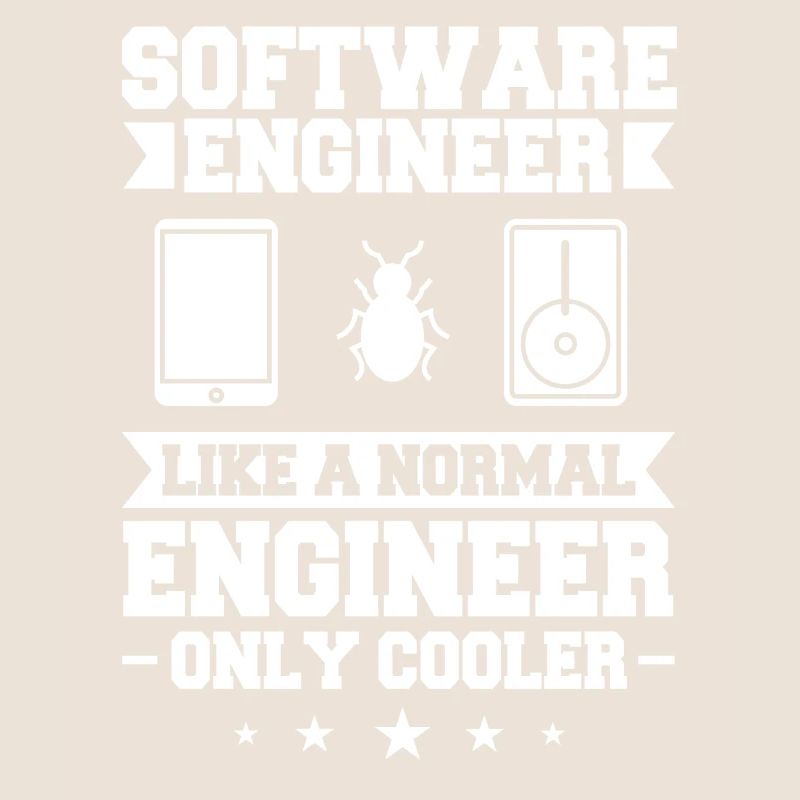 Software Engineering Softwaretechnik Ingenieur