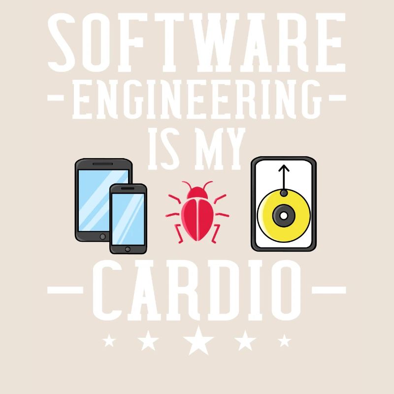 Software Engineering Softwaretechnik Ingenieur