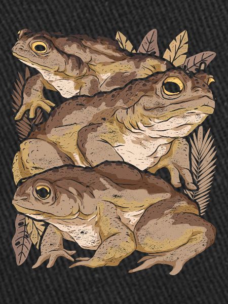 Frog Toad