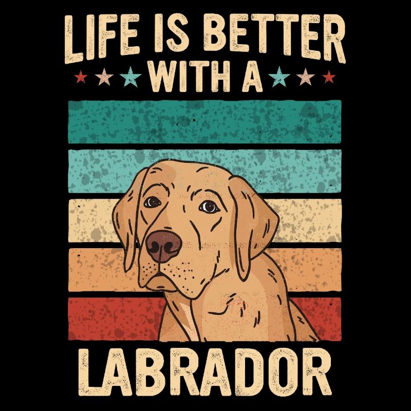 Chien Labrador