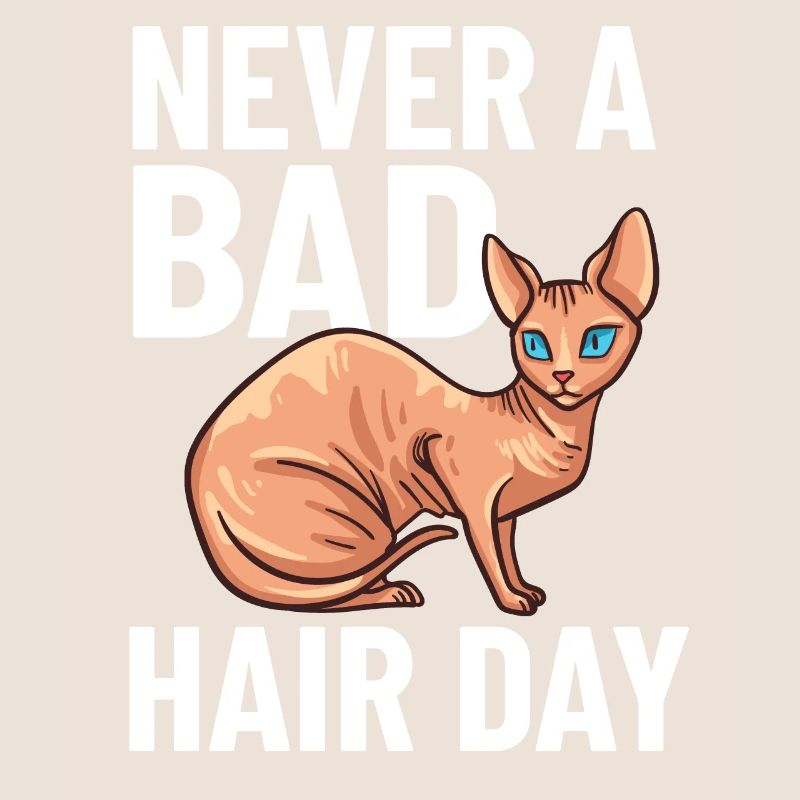 Sphynx Chat Sphinx Chaton sans poils Egypte