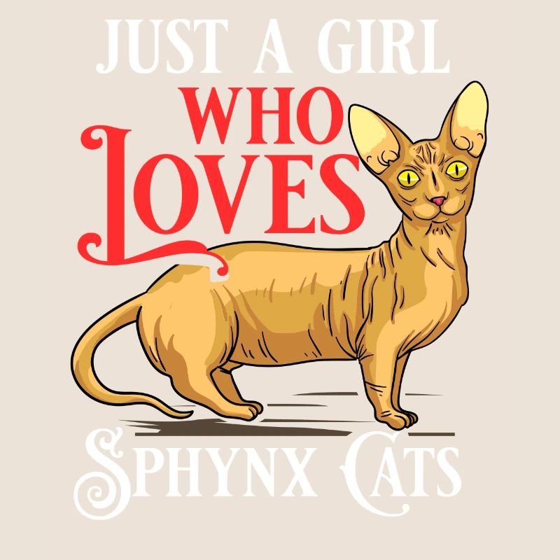 Sphynx Chat Sphinx Chaton sans poils Egypte