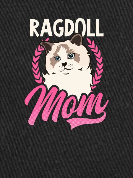 Ragdoll Chat Ragdoll Maman